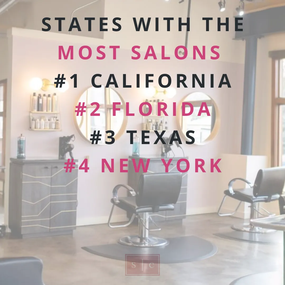 States with the most salons