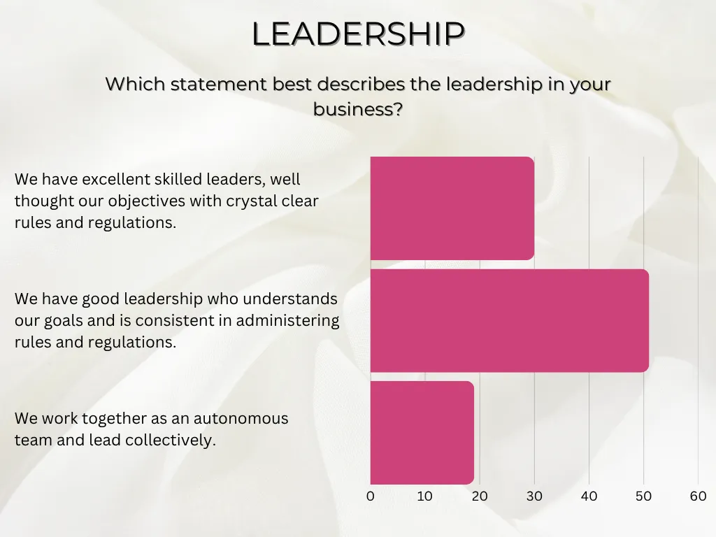 statistics on leadership in hybrid beauty industry businesses from owners